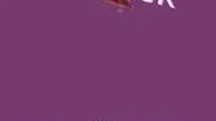 病娇模拟器：破碎的爱情