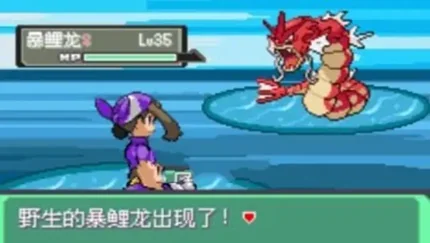 寶可夢：漆黑的魅影 (Pokemon: The Dark Phantom)-內建修改選單