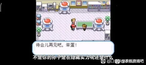 寶可夢高級冒險 (Pokémon: Advanced Adventure)