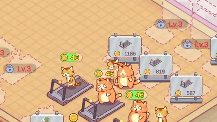 猫咪健身房-完整版