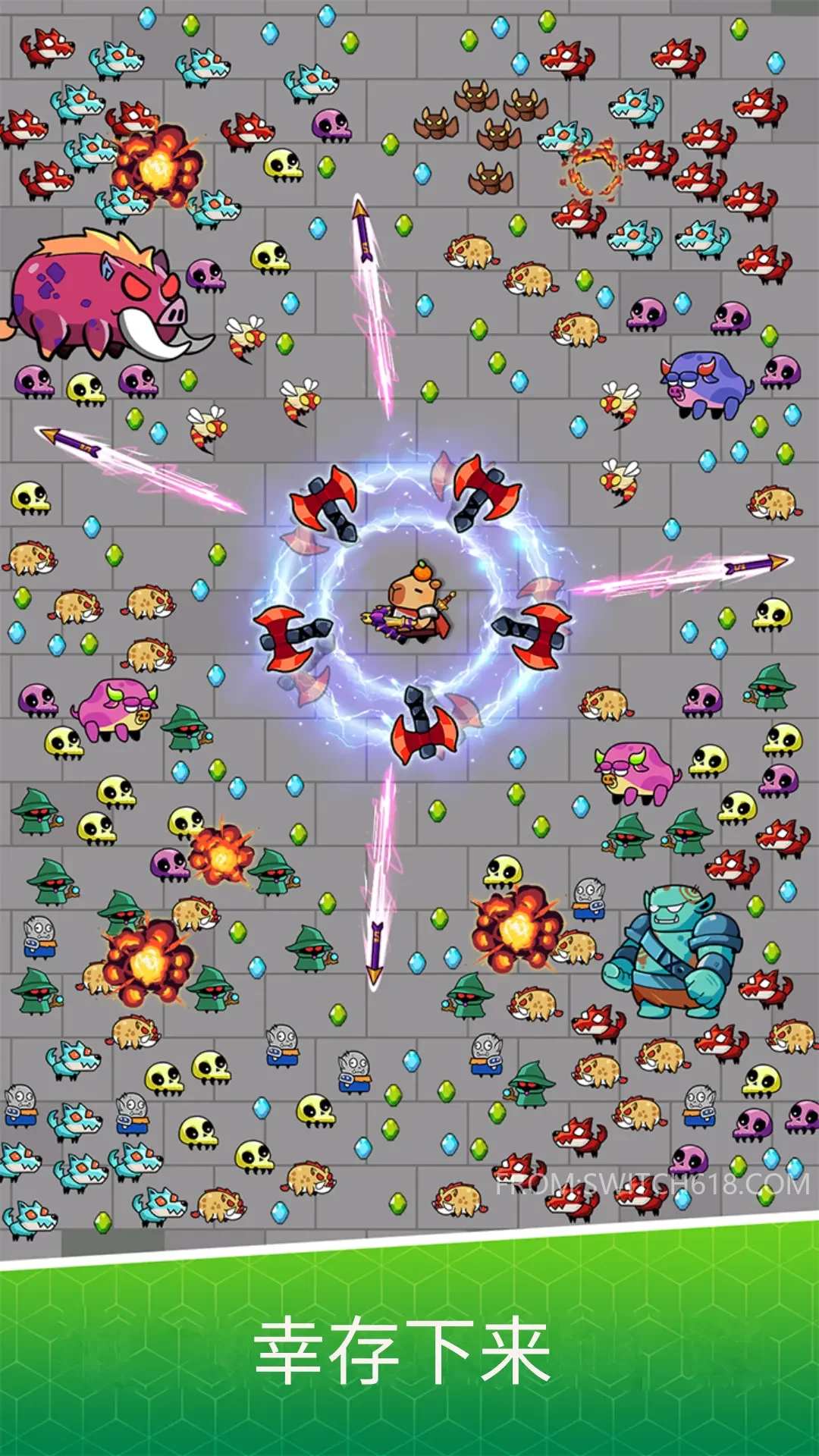 卡皮巴拉幸存者-无广告 1 卡皮巴拉幸存者-无广告游戏截图