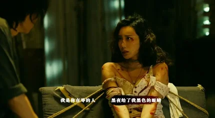 扫毒风暴宛北往事-完整版