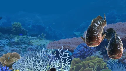 垂钓旅游-大量资源