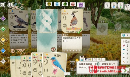展翅翱翔-v1.7.941-steam移植